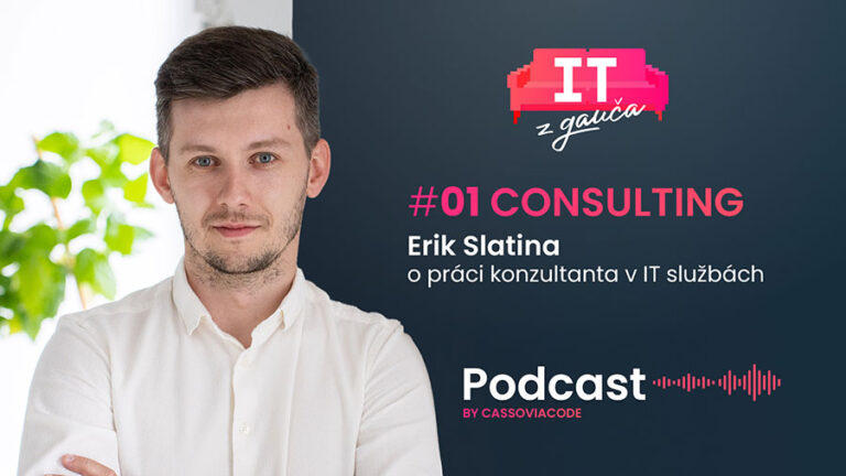 Consulting Erik Slatina